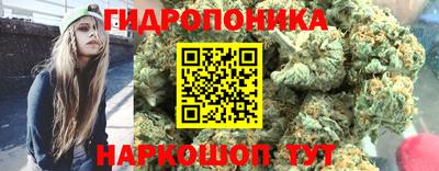 спиды Краснодар