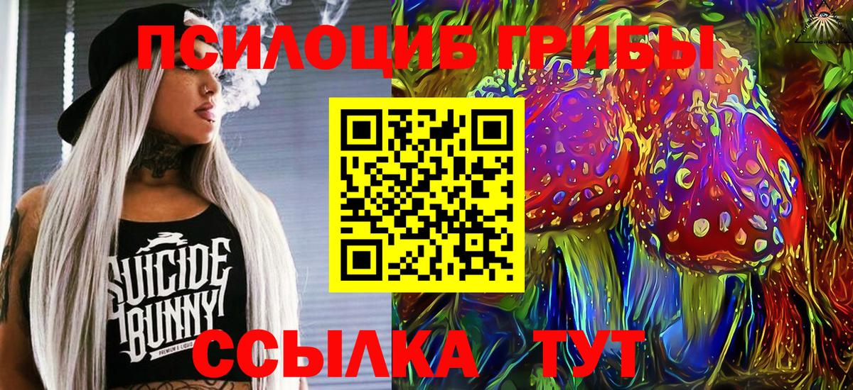 Псилоцибиновые грибы ЛСД Качканар