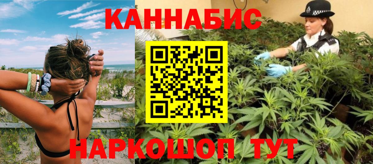 Канабис планчик Качканар